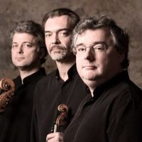 TRIO WANDERER
